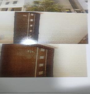Plot for Sale in Balabhadrapur,Sunderpada,Bhubaneswar, Bhubaneswar