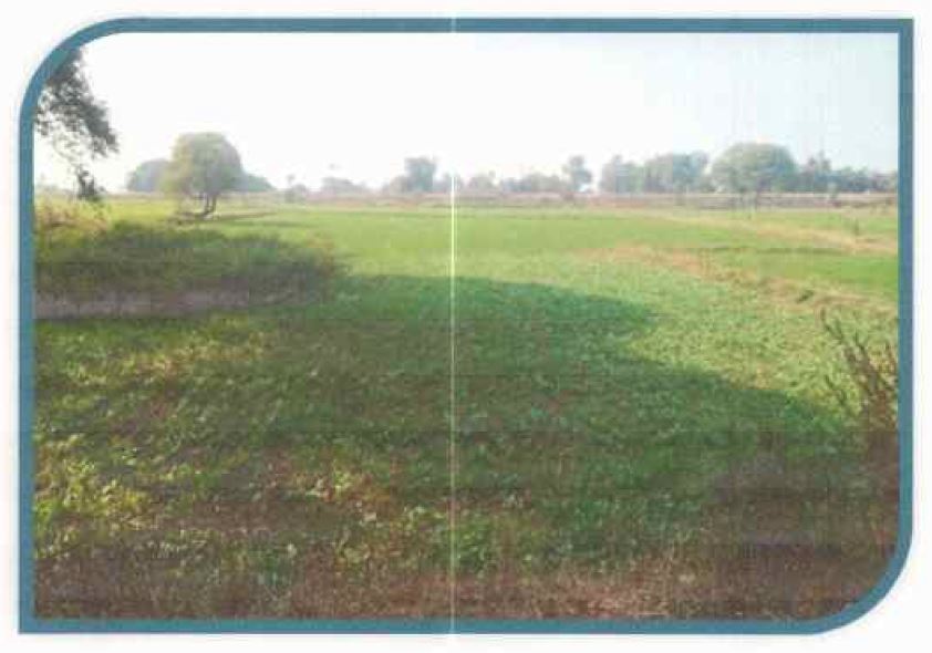 Plot for Sale in Rewa