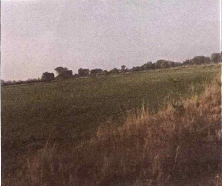 VACANT PLOT for Sale in SITUATED AT MOUJA BAIKUNTHPUR G NO 408, WARD NO 05, BAIKUNTHPUR, TEHSIL SIRMOUR, DIST REWA MP, Rewa