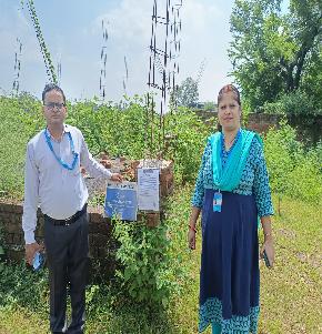 Plot for Sale in JABALPUR, Jabalpur