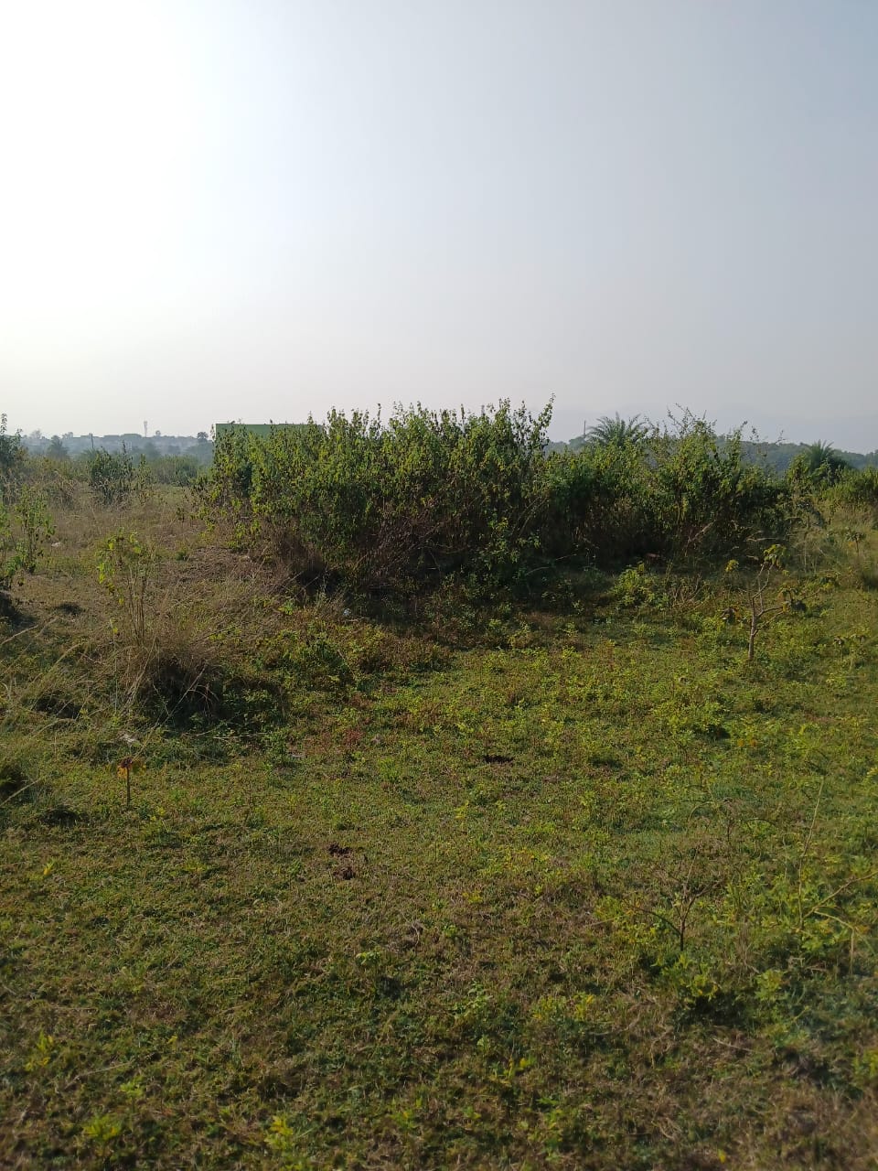 Plot for Sale in KANISI BERHAMPUR, Berhampur