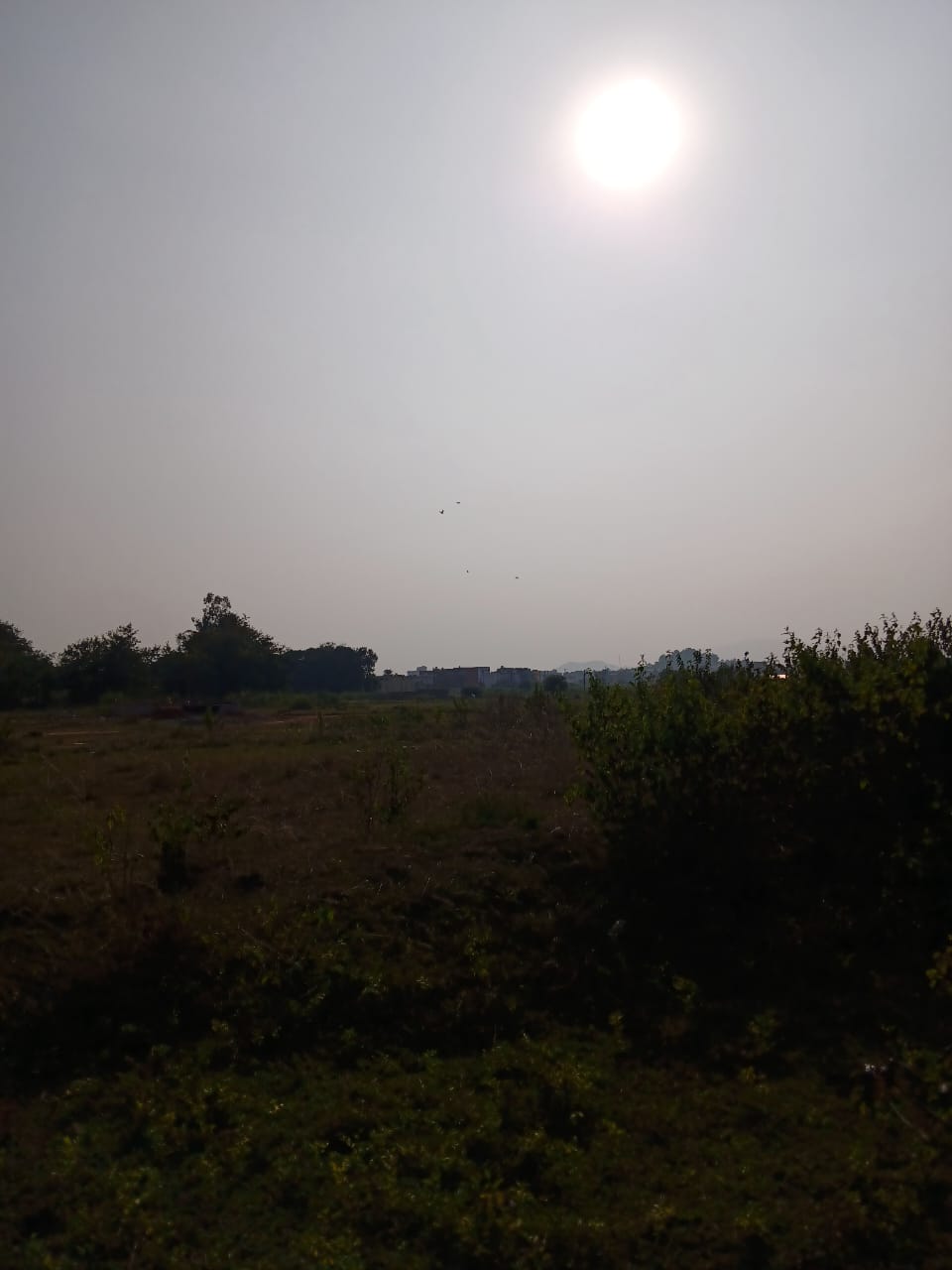 Plot for Sale in KANISI BERHAMPUR, Berhampur