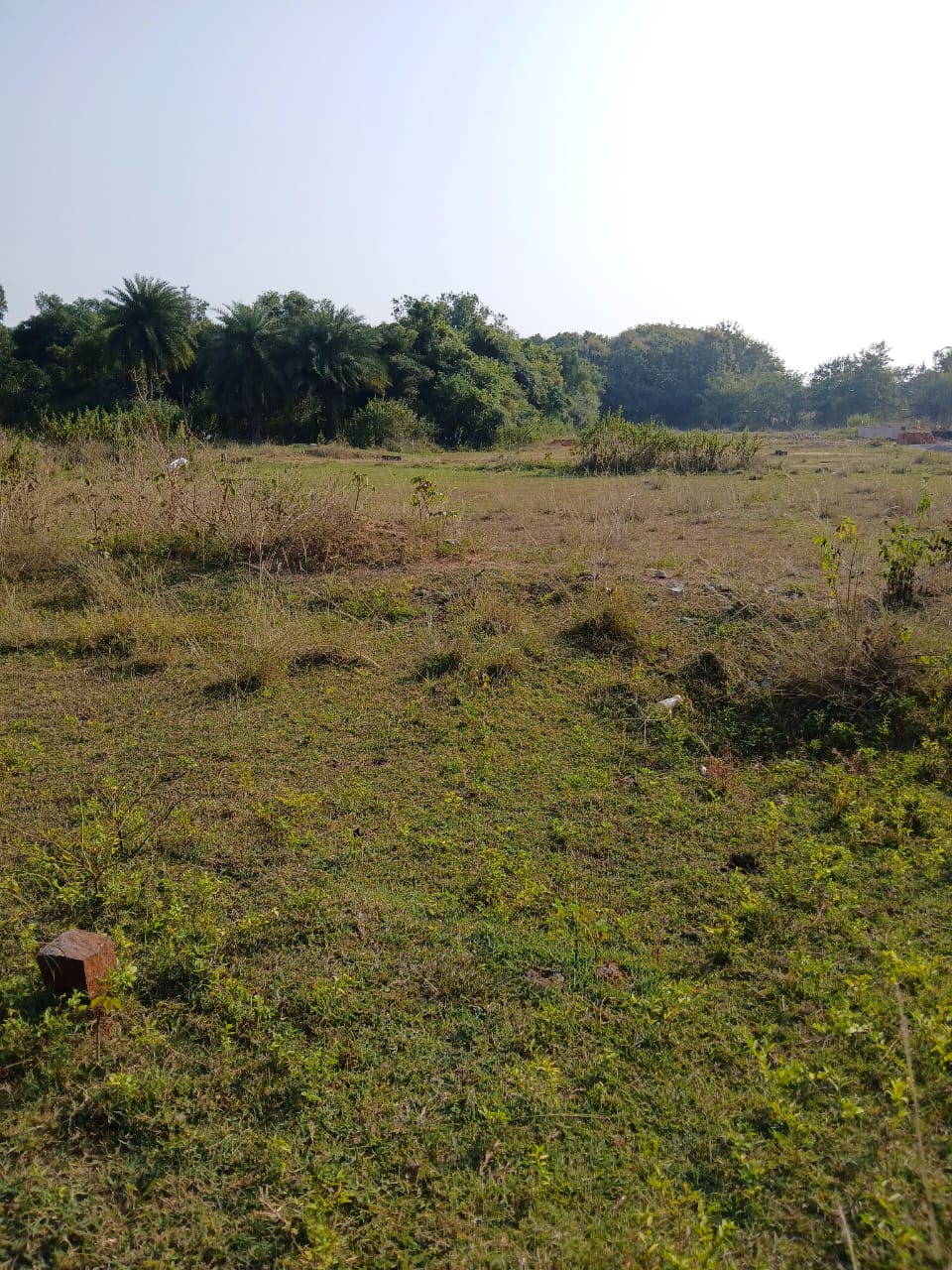 Plot for Sale in KANISI BERHAMPUR, Berhampur