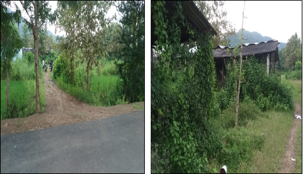 Individual House for Sale in Kullada