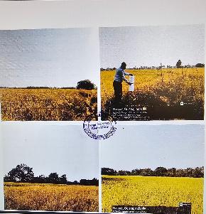 Plot for Sale in Bhubaneswar