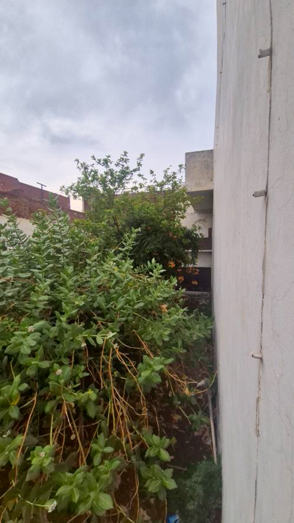 Individual House for Sale in Rampura Phul, District Bathinda, Bathinda