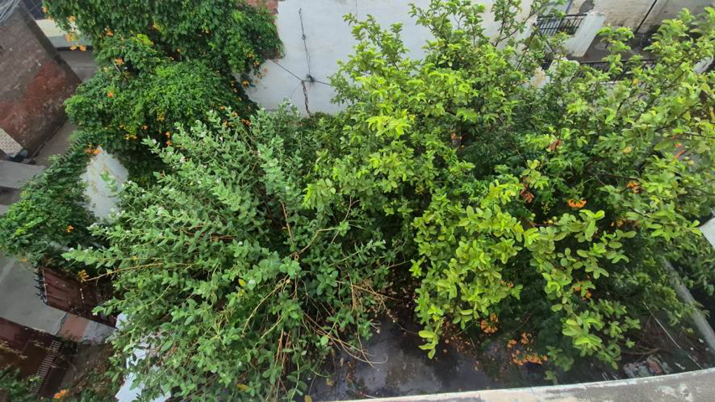Individual House for Sale in Rampura Phul, District Bathinda, Bathinda