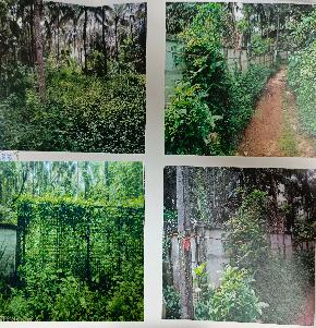 Plot for Sale in Kariparambu, Anjur