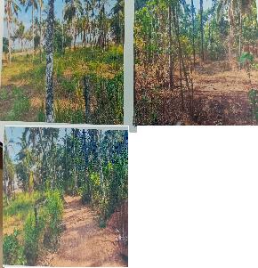 Plot for Sale in KUNNAMKULAM, Alur