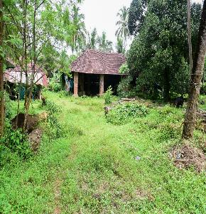 Industrial Shed for Sale in Palakkad, Palakkad