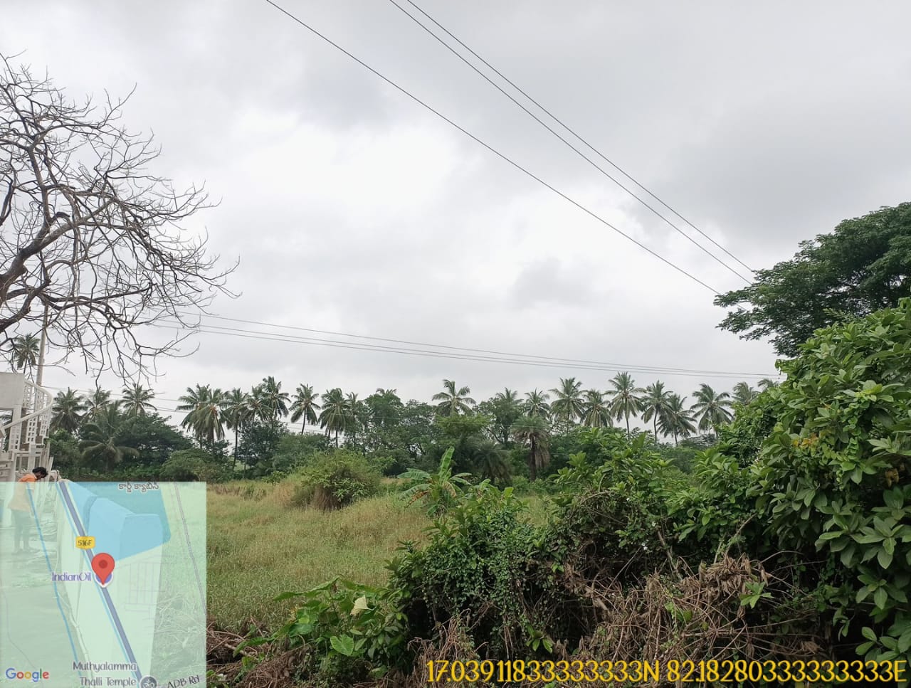 Plot for Sale in Samalkot