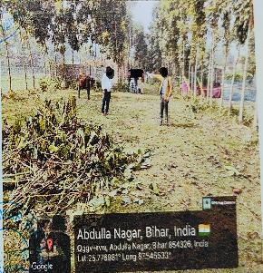 Plot for Sale in Mohalla and Village- Basantpur, Mauja and Thana-Abdullanagar, Gulabbagh, Purnea, District-Purnea, Purnea