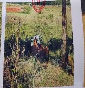 Plot for Sale in Visakhapatnam, Visakhapatnam