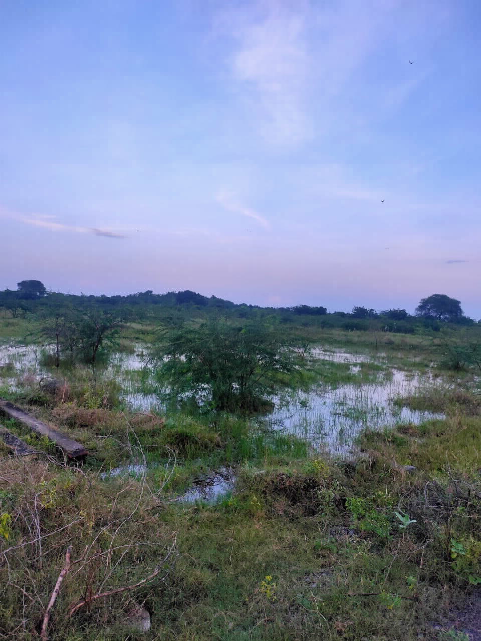 Other for Sale in Ongole