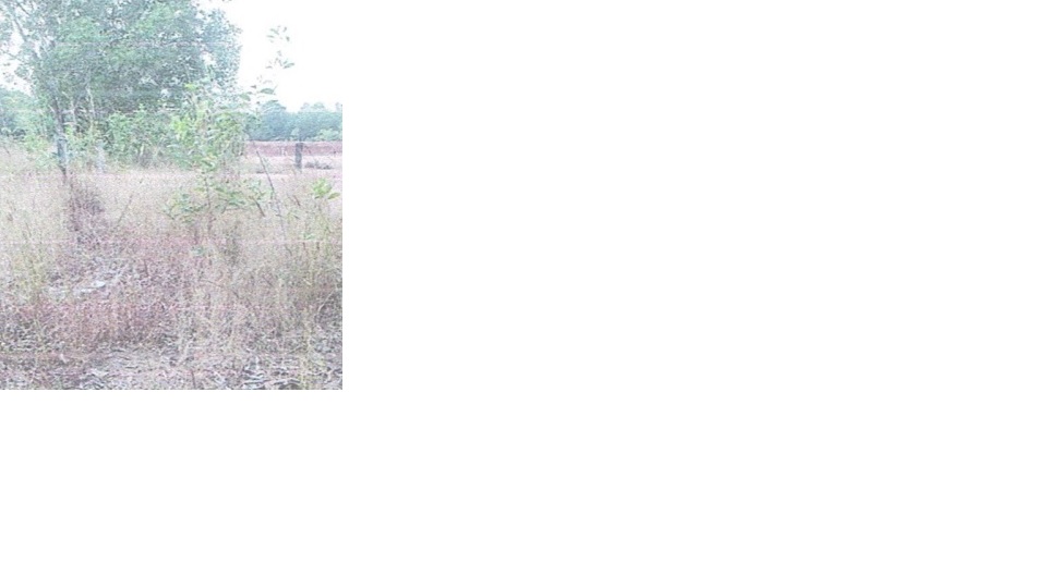 Plot for Sale in BATTAGERE VILLAGE PURVARA HOBLI MADHUGIRI TALUK TUMKUR 572132, Madhugiri
