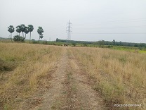 Plot for Sale in Purushottampatnam village, Chilakaluripeta Municipality, Chilakaluripet