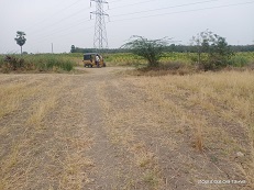 Plot for Sale in Purushottampatnam village, Chilakaluripeta Municipality, Chilakaluripet