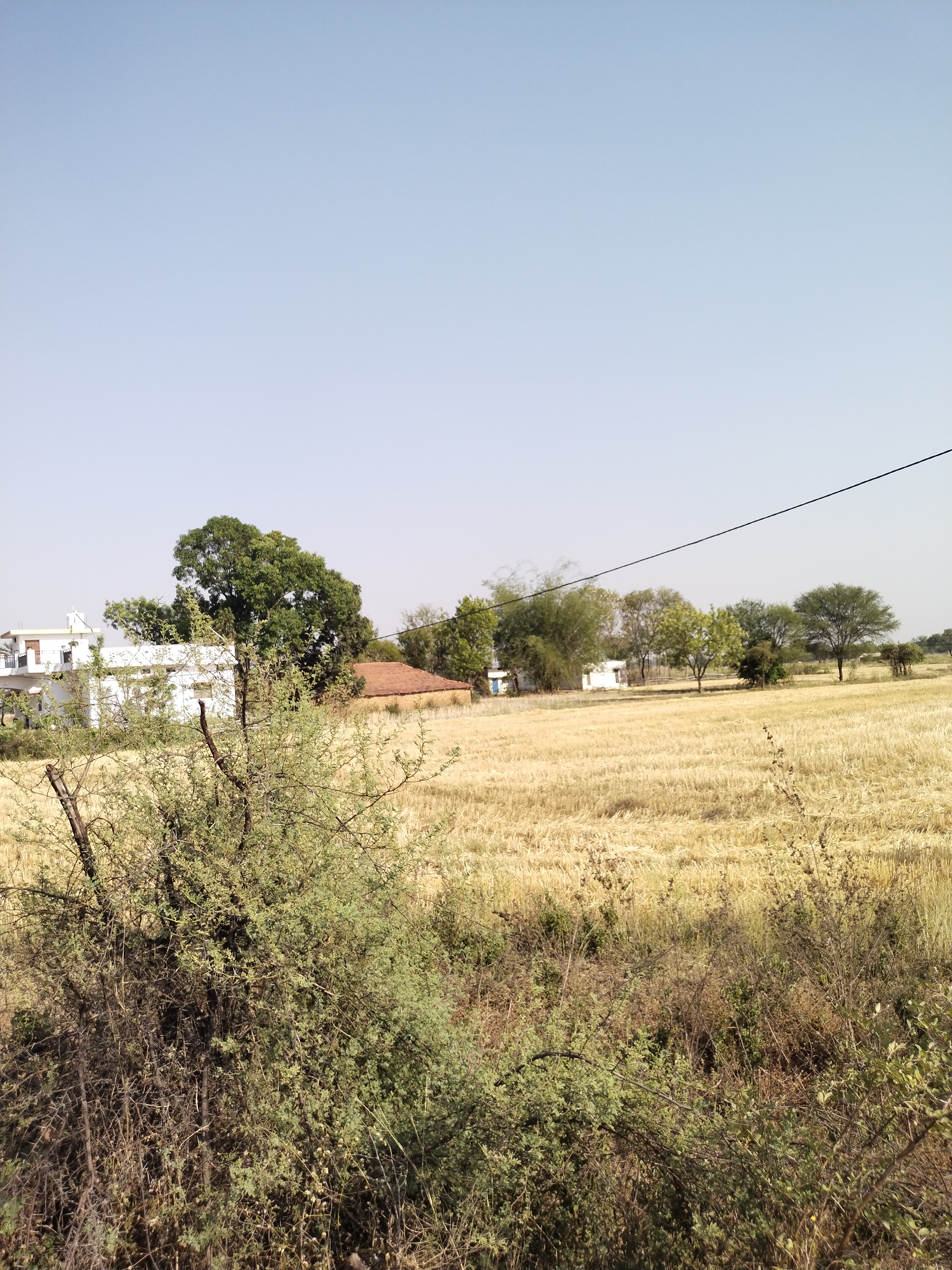 Plot for Sale in Misrigawan, Mangawan