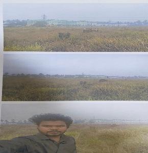 Plot for Sale in CH Umameshwara Rao, Gunupudi Village, Bhimavaram