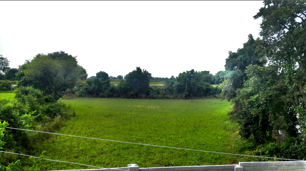 OPEN LAND for Sale in DATIA, Datia
