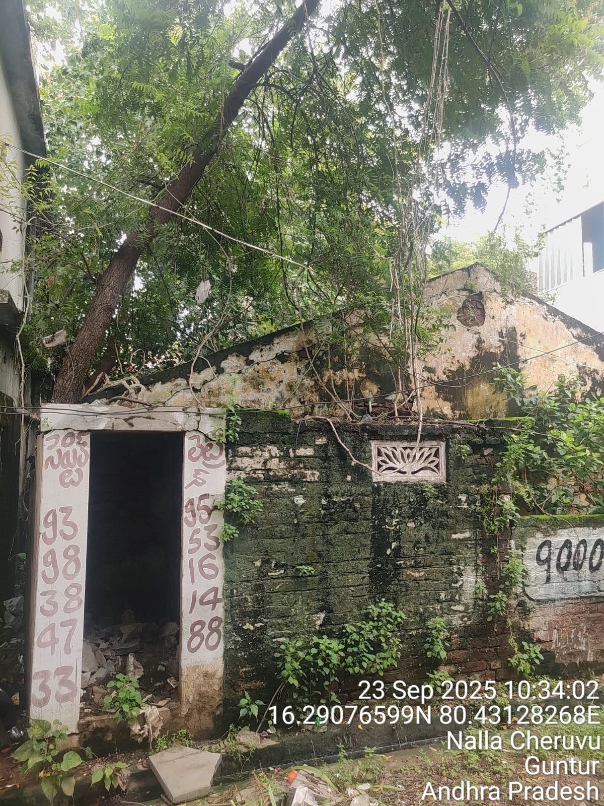 Plot for Sale in R AGRAHARAM , GUNTUR, Guntur