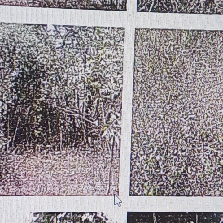 Plot for Sale in Guntur