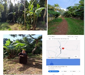 OPEN LAND for Sale in venmoney village, chengannur taluk, allappuzha district, kerala state, Chengannur