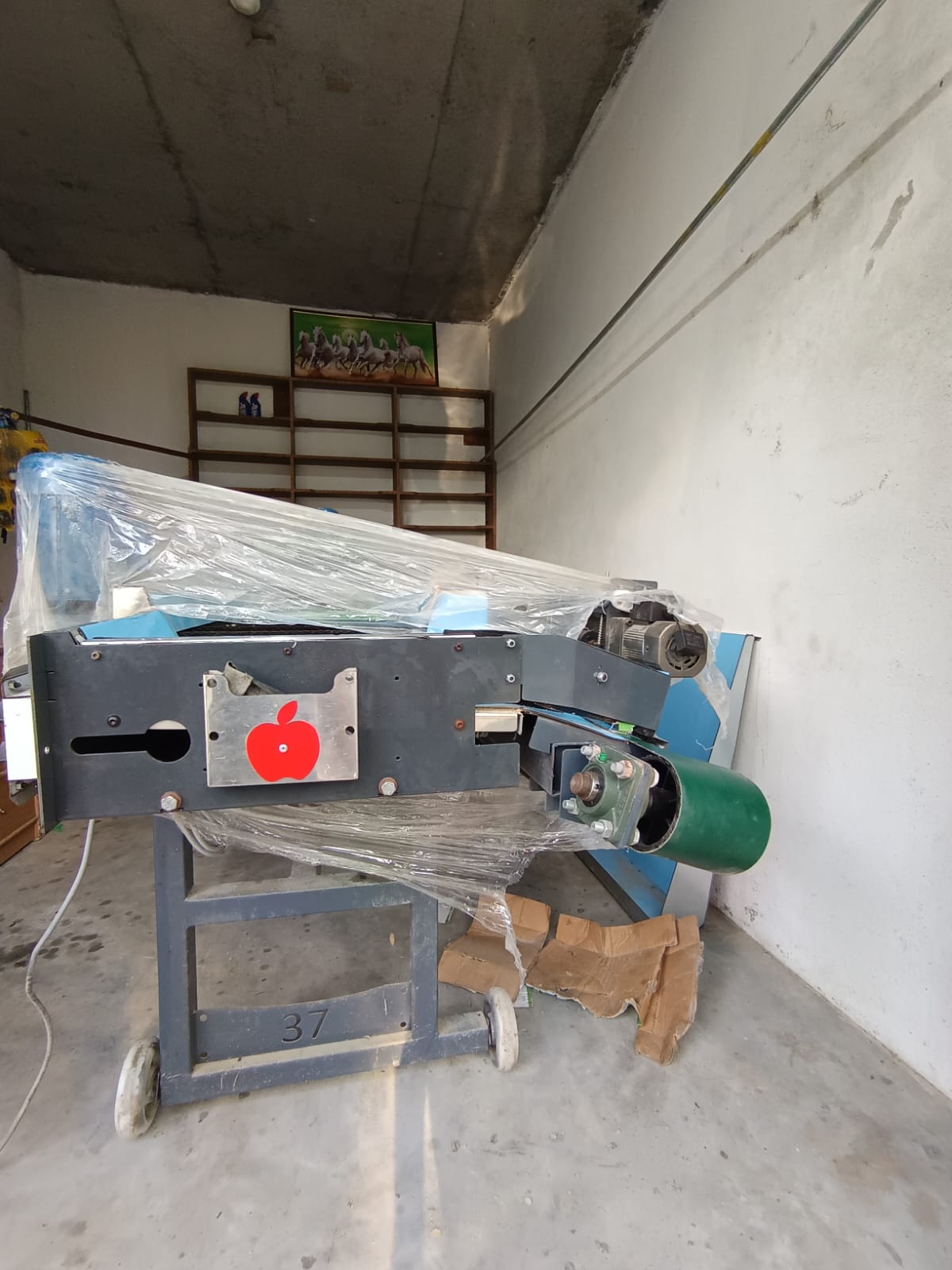 APPLE GRADING MACHINE for Sale in Mand