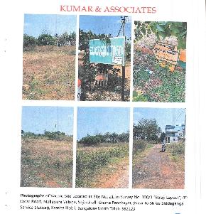 Plot for Sale in NAP, Mallapura Village, Vairahalli Grama Panchayath, Arasinakunte