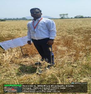 Industrial Plot for Sale in Satna