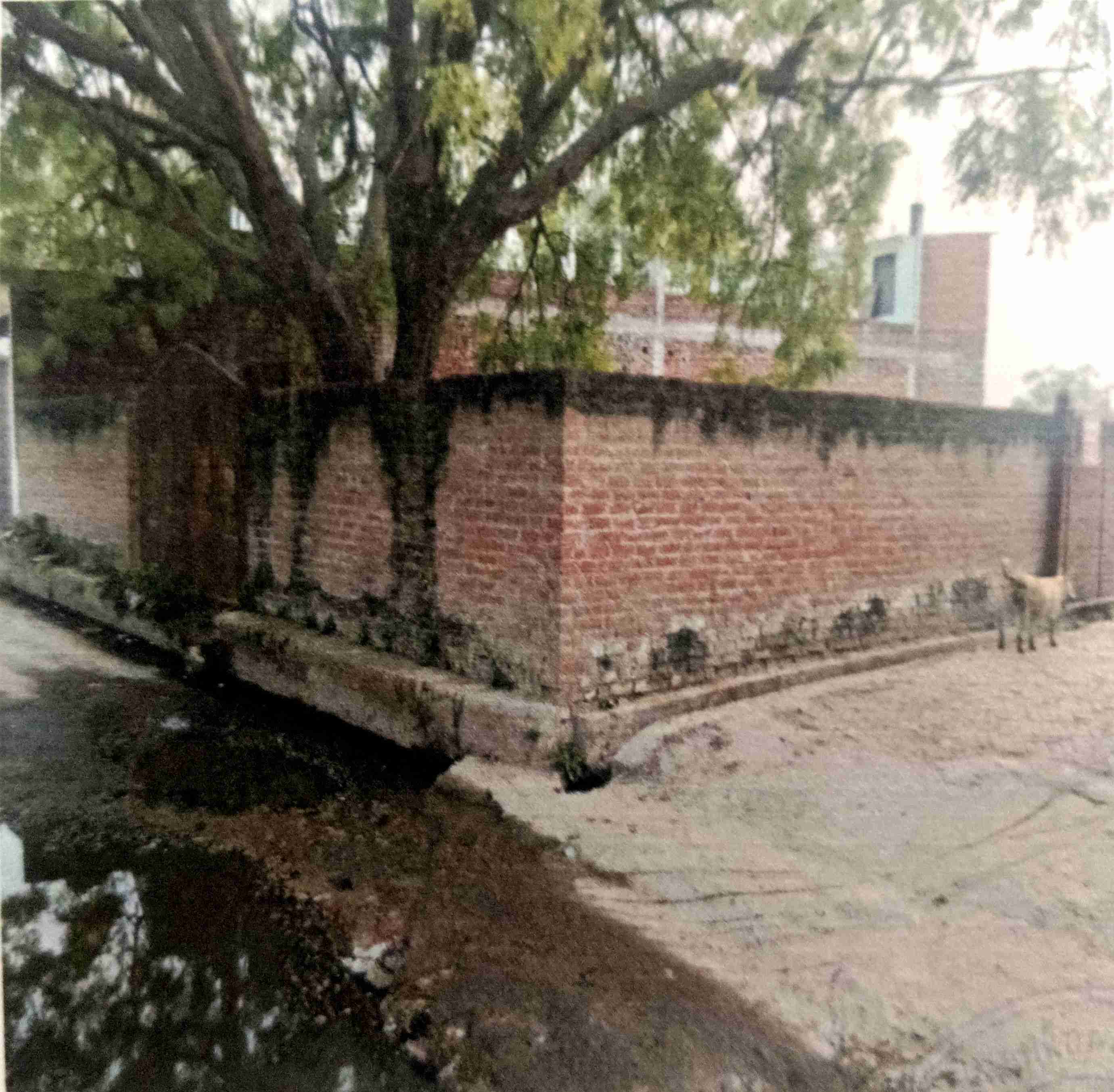 Plot for Sale in Jaunpur