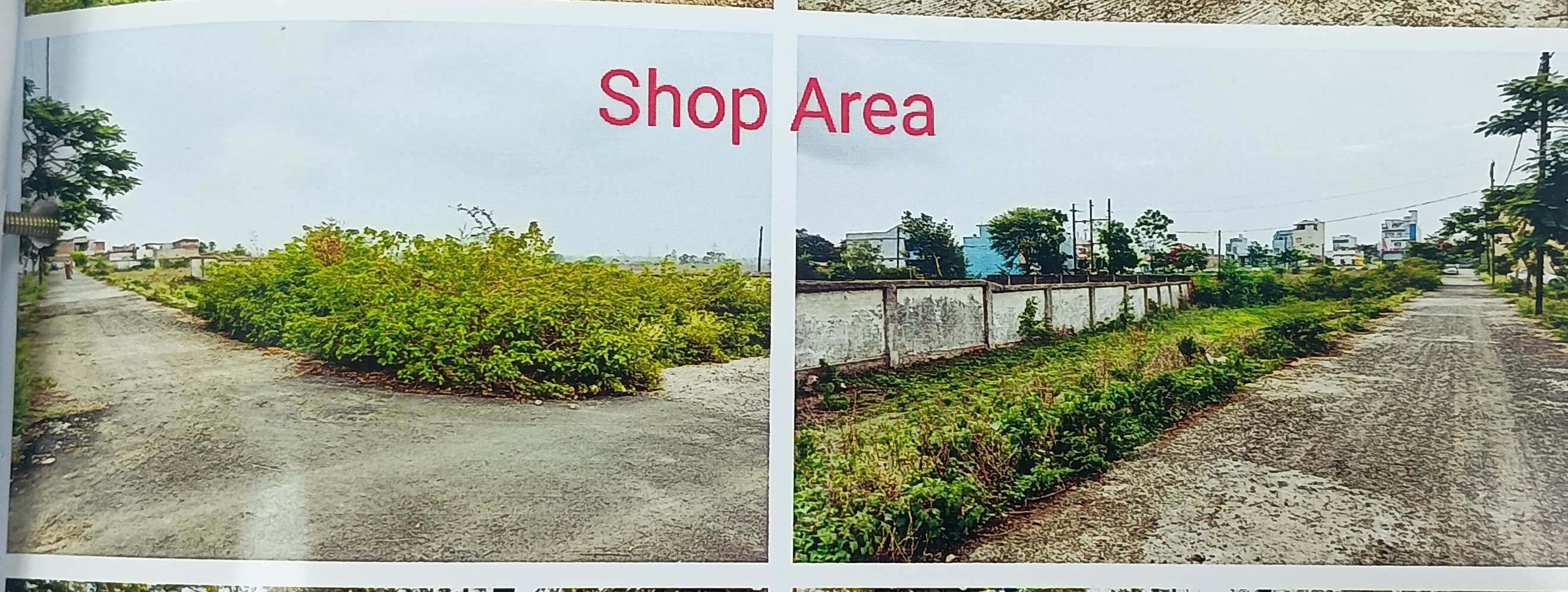 Plot for Sale in Diamond park colony, SARDARPUR, Rajgarh Dhar