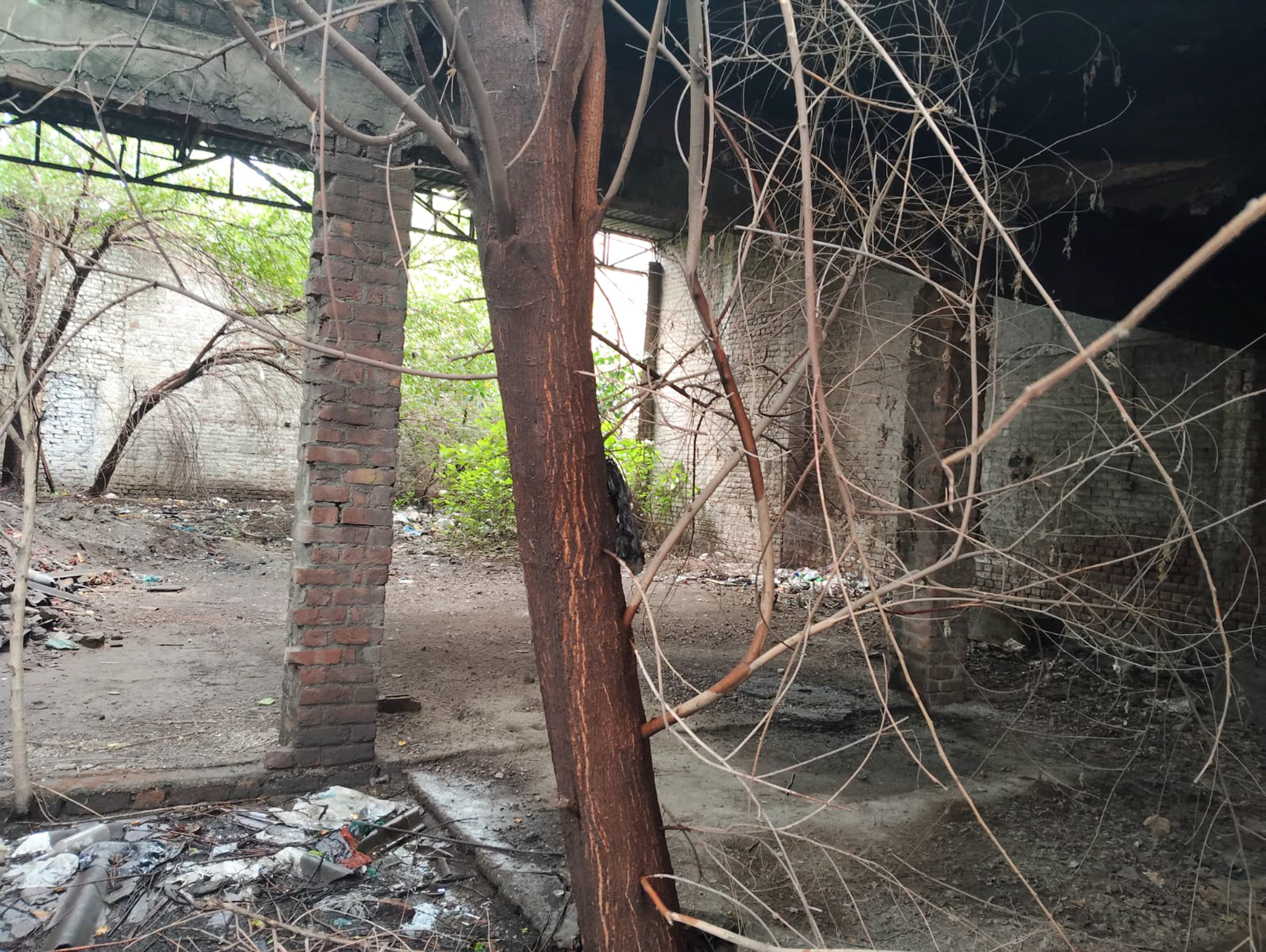 Individual House for Sale in Jalandhar