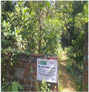 Plot for Sale in Kanjiramkulam
