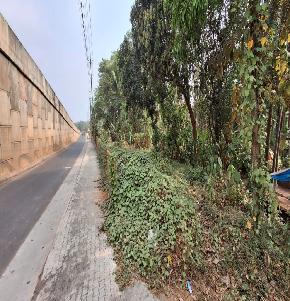 Plot for Sale in Cheleri