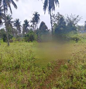 VACANT SITE for Sale in Kadur