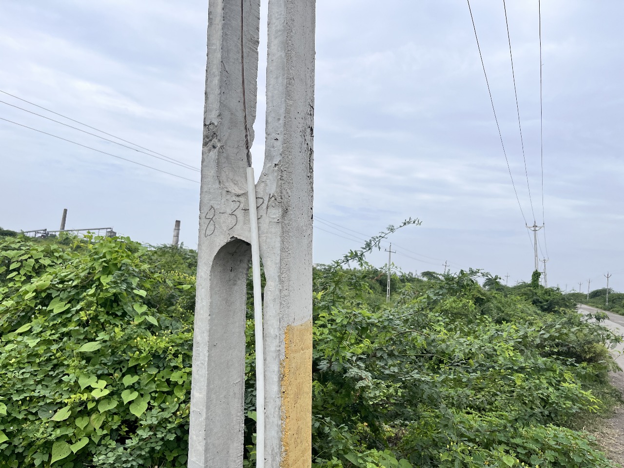 Plot for Sale in RAMPARA-2, TALUKA-RAJULA, DISTRICT-AMRELI, Amreli
