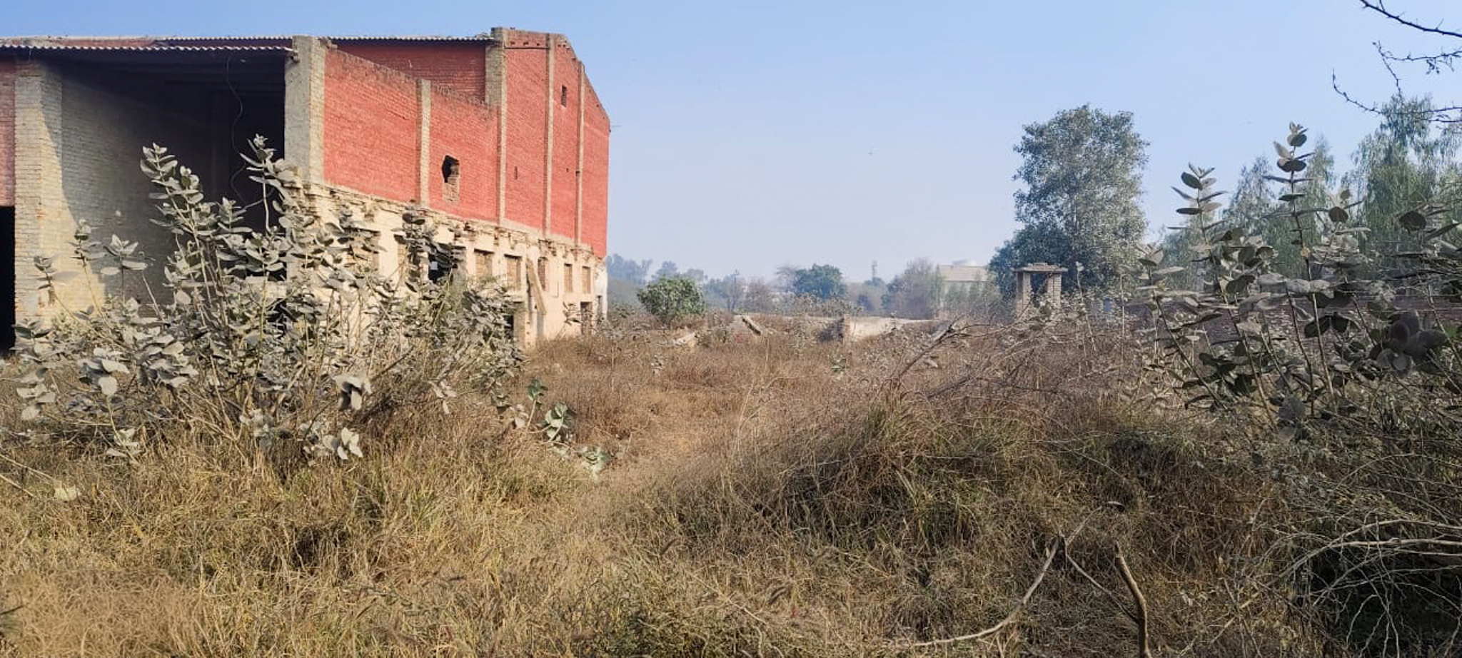 Industrial Plot with Factory Building for Sale in Jalalabad