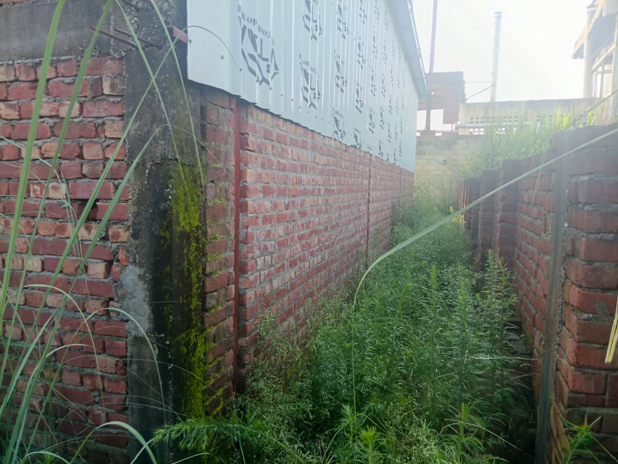 Industrial Plot with Factory Building for Sale in INDUSTRIAL, Pandogha Industrial Area