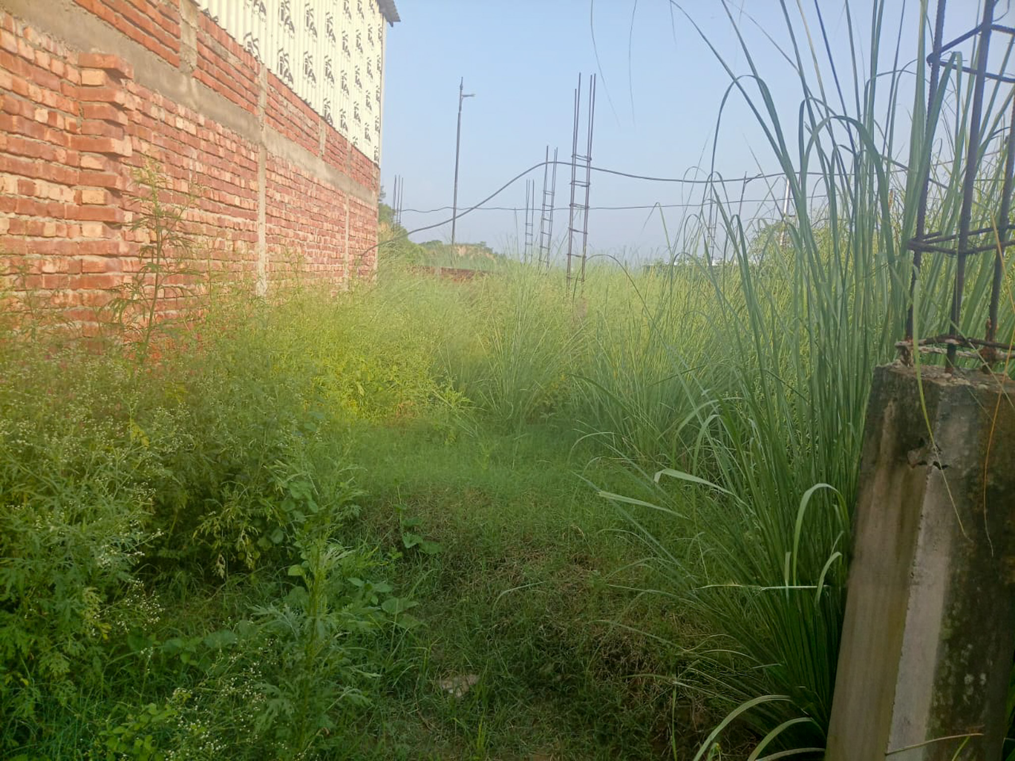 Industrial Plot with Factory Building for Sale in INDUSTRIAL, Pandogha Industrial Area