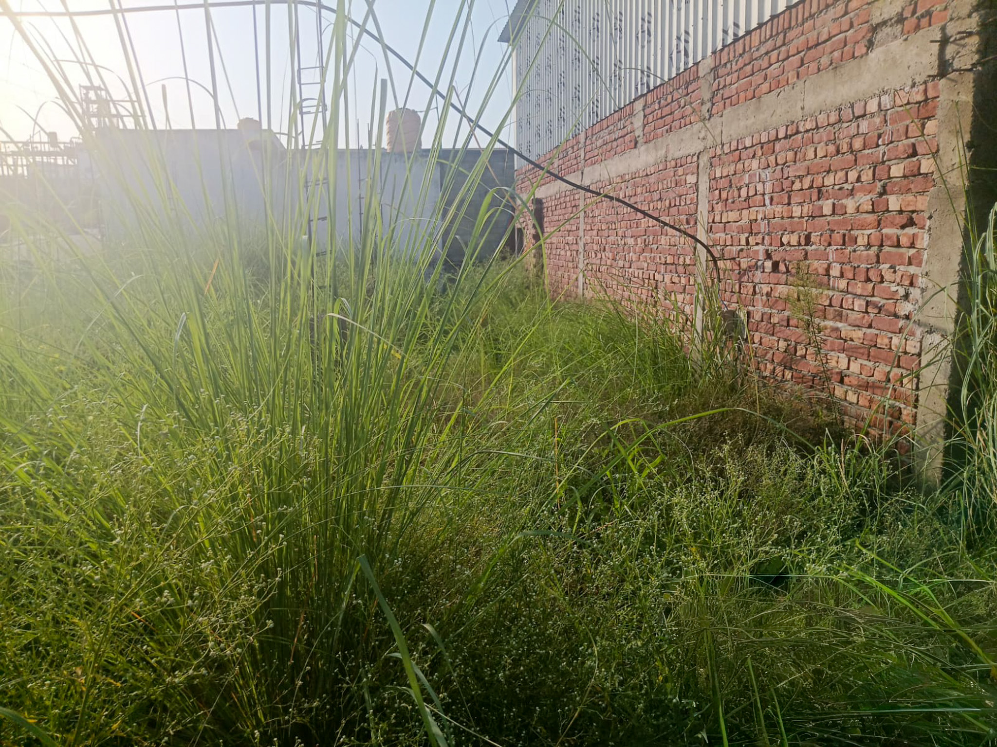 Industrial Plot with Factory Building for Sale in INDUSTRIAL, Pandogha Industrial Area