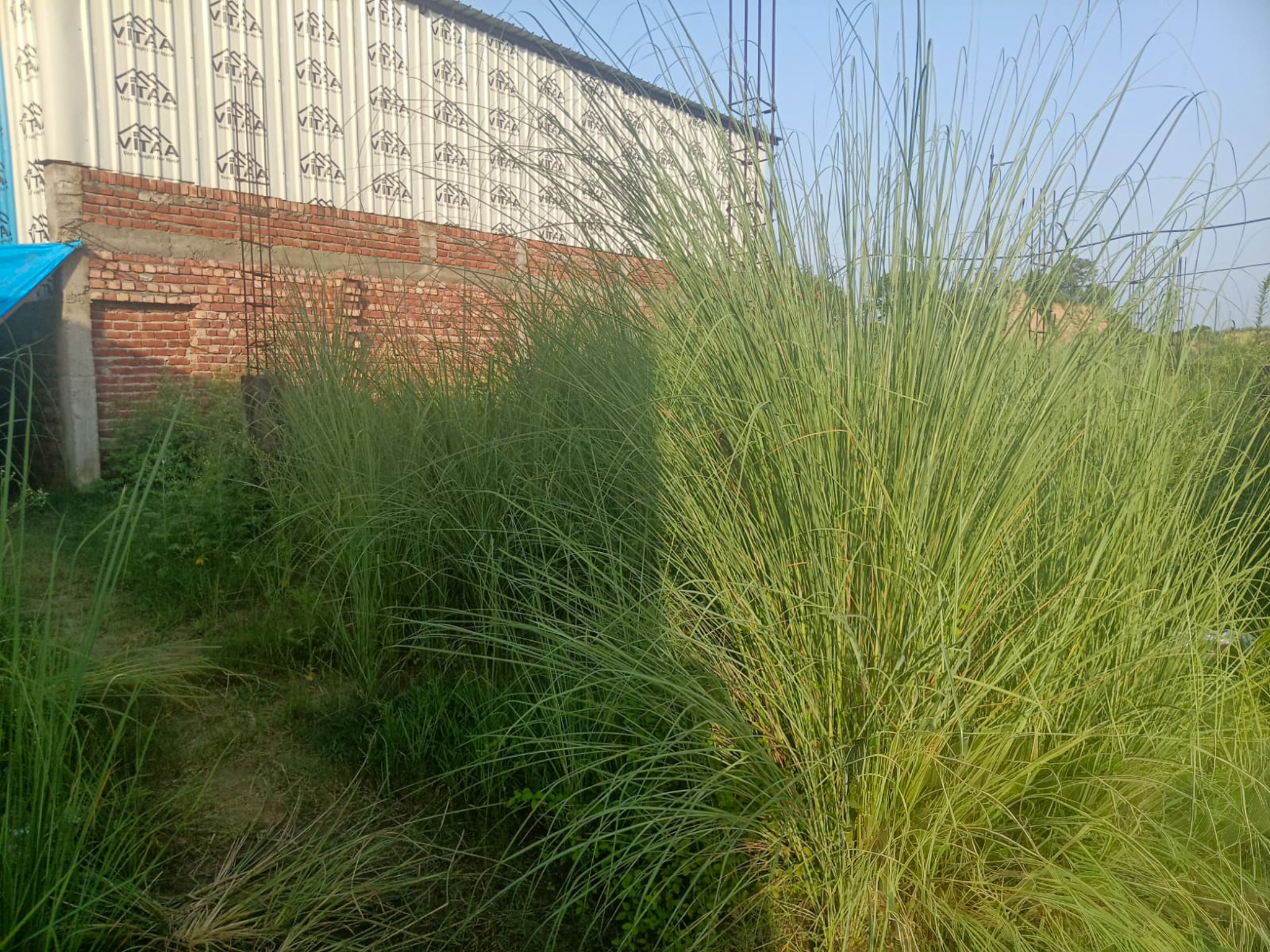 Industrial Plot with Factory Building for Sale in INDUSTRIAL, Pandogha Industrial Area