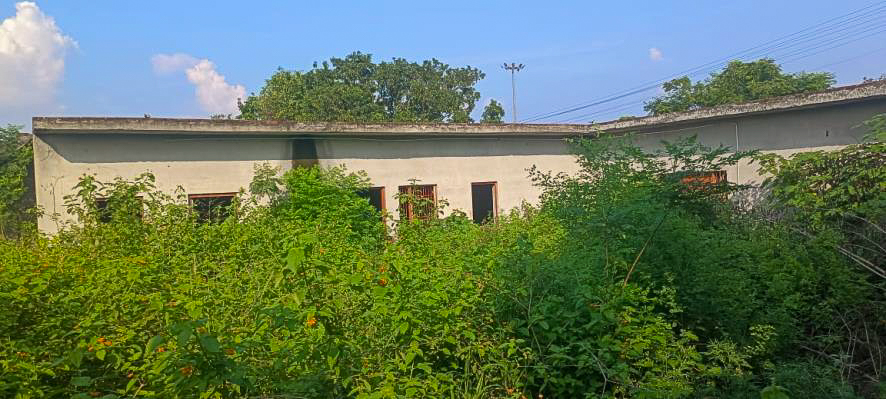 Industrial Shed for Sale in Basal Industrial Area
