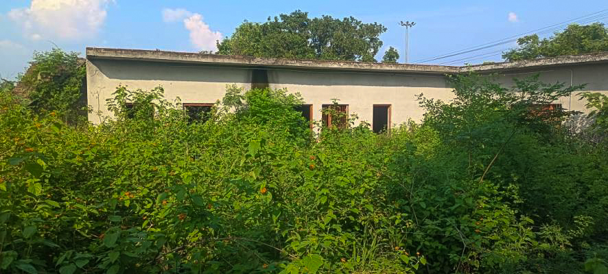 Industrial Shed for Sale in Basal Industrial Area