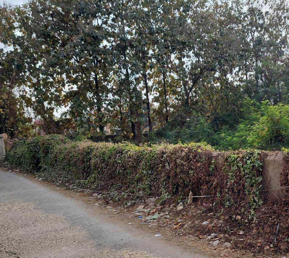 Plot for Sale in Deoghar