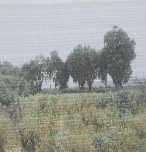 Plot for Sale in Guntur