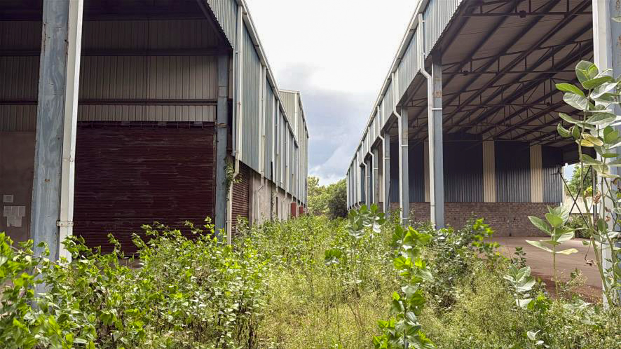 Industrial Plot with Factory Building for Sale in Rajam