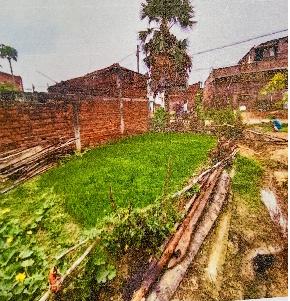 Plot for Sale in Daudnagar