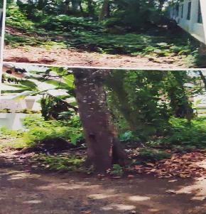 Plot for Sale in Muttambalam Village,Kottayam Taluk, Nattakam