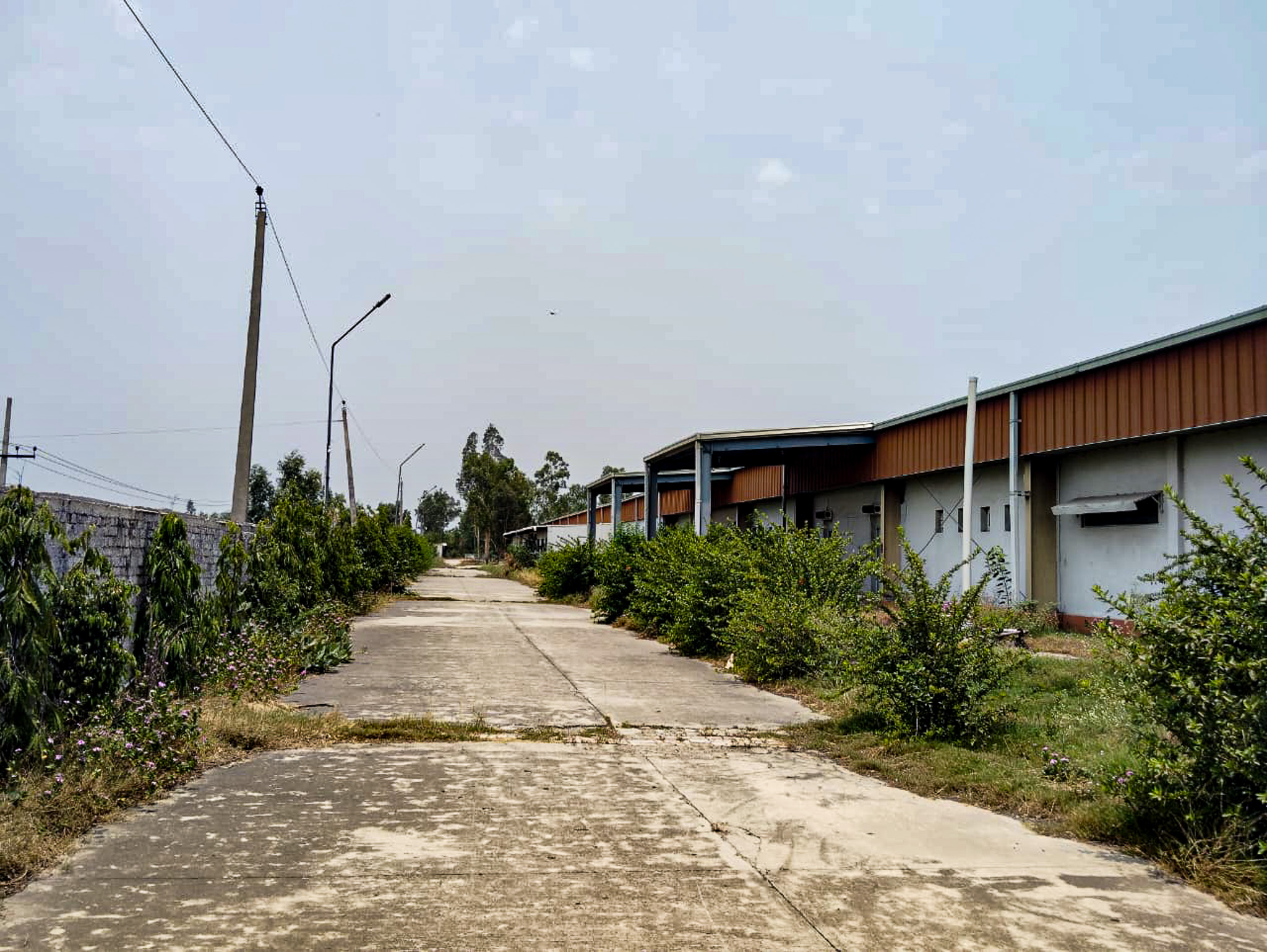 Office for Sale in HOSIARPUR, Hoshiarpur